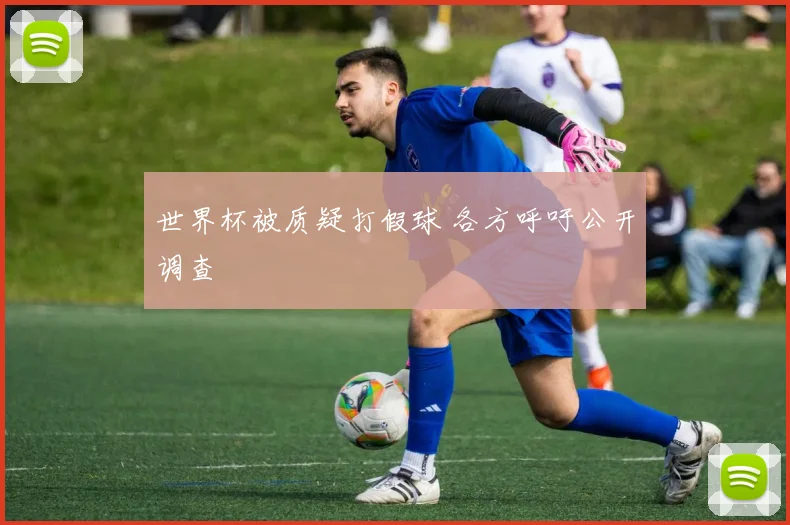 世界杯被质疑打假球 各方呼吁公开调查