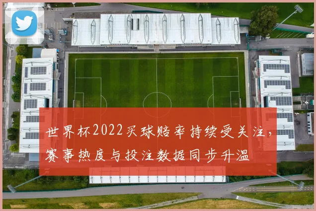 世界杯2022买球赔率持续受关注，赛事热度与投注数据同步升温