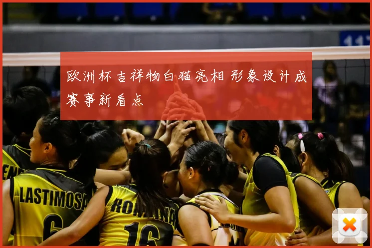 欧洲杯吉祥物白猫亮相 形象设计成赛事新看点