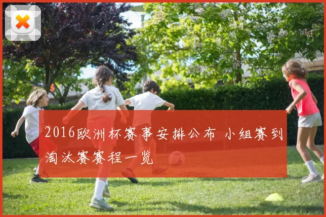 2016欧洲杯赛事安排公布 小组赛到淘汰赛赛程一览