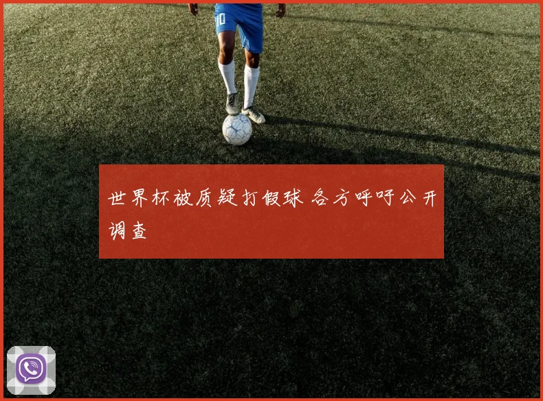 世界杯被质疑打假球 各方呼吁公开调查