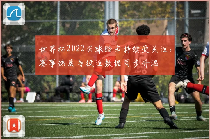 世界杯2022买球赔率持续受关注，赛事热度与投注数据同步升温